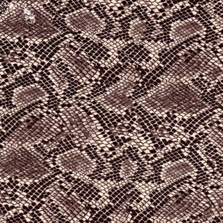Gold Snake(50cm)