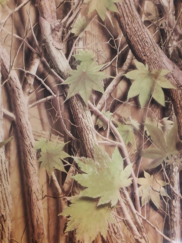 Maple Woods Camo (50 cm) New